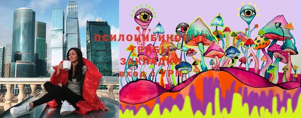 mdpv Гусев