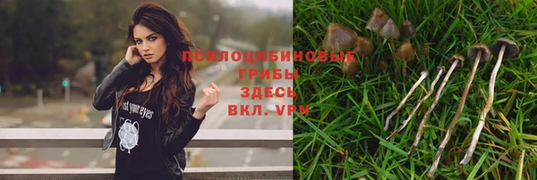 СК Гусиноозёрск